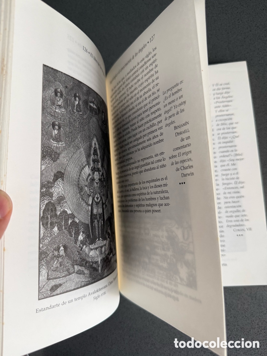 Libros de segunda mano: EL LIBRO DE LOS &Aacute;NGELES SOPHY BURNHAM - NUEVA ERA - ED. MARTINEZ ROCA - Foto 8