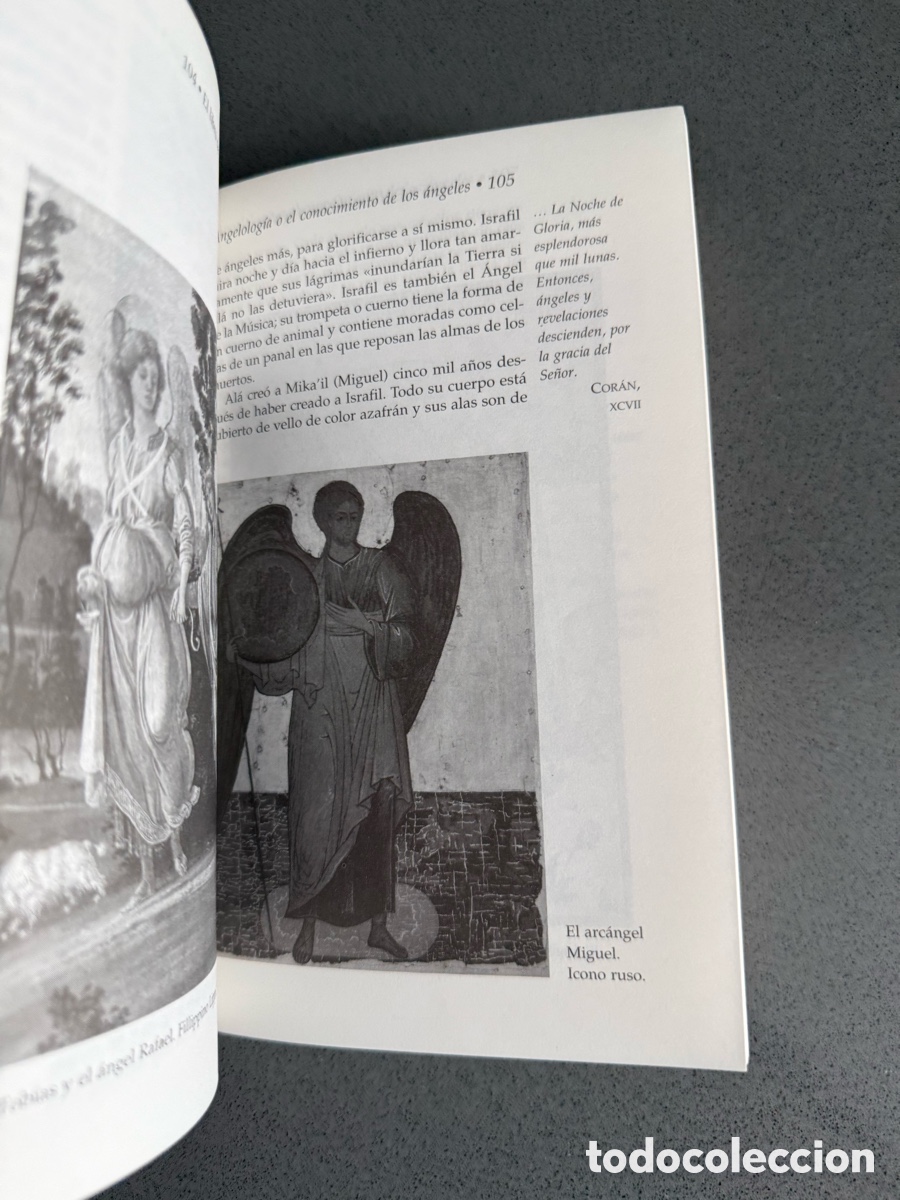 Libros de segunda mano: EL LIBRO DE LOS &Aacute;NGELES SOPHY BURNHAM - NUEVA ERA - ED. MARTINEZ ROCA - Foto 9