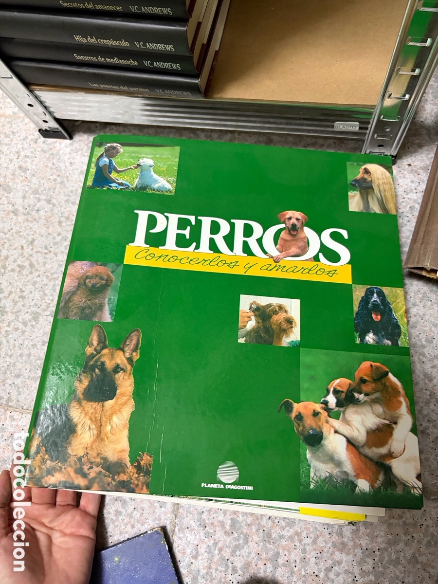 Libri di seconda mano: Blas113 archivador fichas perros conocerlos y amarlos planeta deagostini