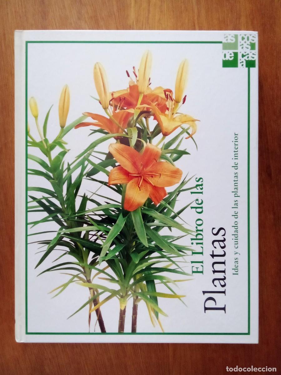 Libros de segunda mano: EL LIBRO DE LAS PLANTAS, IDEAS Y CUIDADO DE LAS PLANTAS DE INTERIOR, LAS COSAS DE CASA