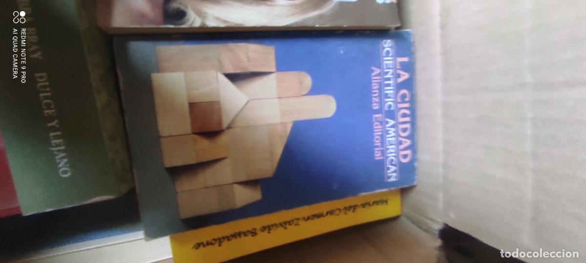Libros de segunda mano: LA CIUDAD Traducido al espa&ntilde;ol por Guillermo Gay&aacute; Nicolau - Scientific American
