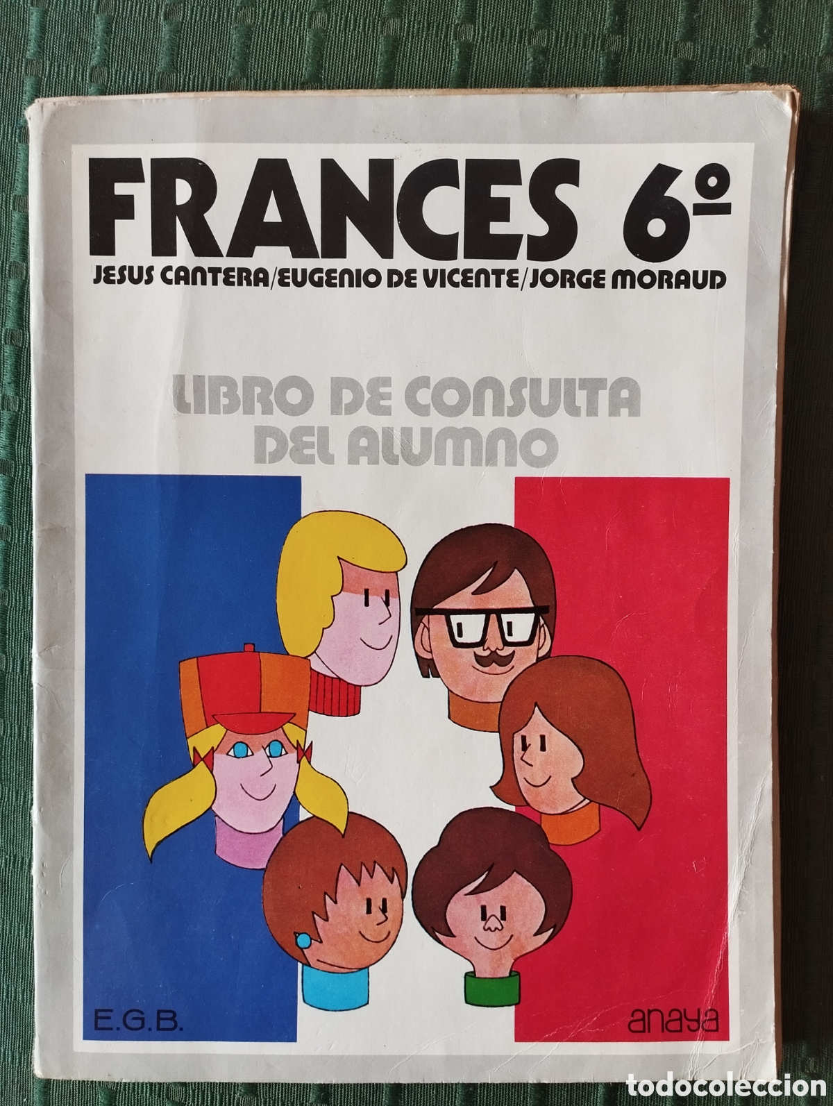 Libros de segunda mano: Libro de educaci&oacute;n general b&aacute;sica de 6&deg; curso de consulta del alumno de franc&eacute;s.