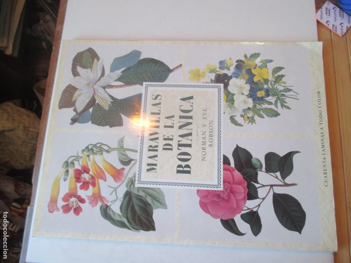 Libros de segunda mano: NORMAN Y EVE ROBSON Maravillas de la bot&aacute;nica (40 l&aacute;minas en color) W41963