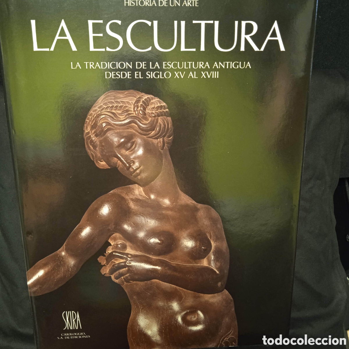 Libros de segunda mano: HISTORIA DE UN ARTE ESCULTURA SIGLOS XV A XVIII - VVAA - SKIRA 1987