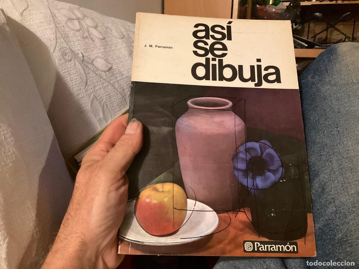 Libros de segunda mano: ASI SE DIBUJA - J.M. PARRAMON