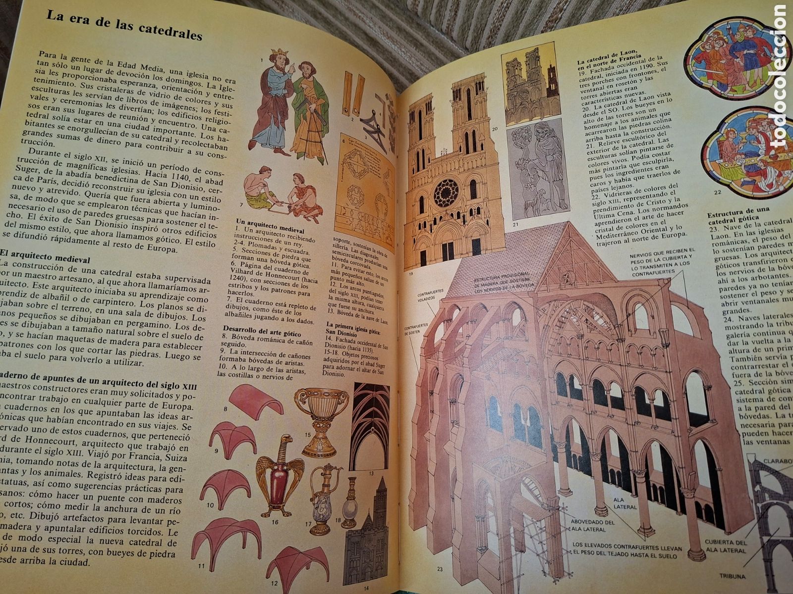 Libros de segunda mano: LA EDAD MEDIA, Giovanni Caselli (ANAYA) - Foto 6