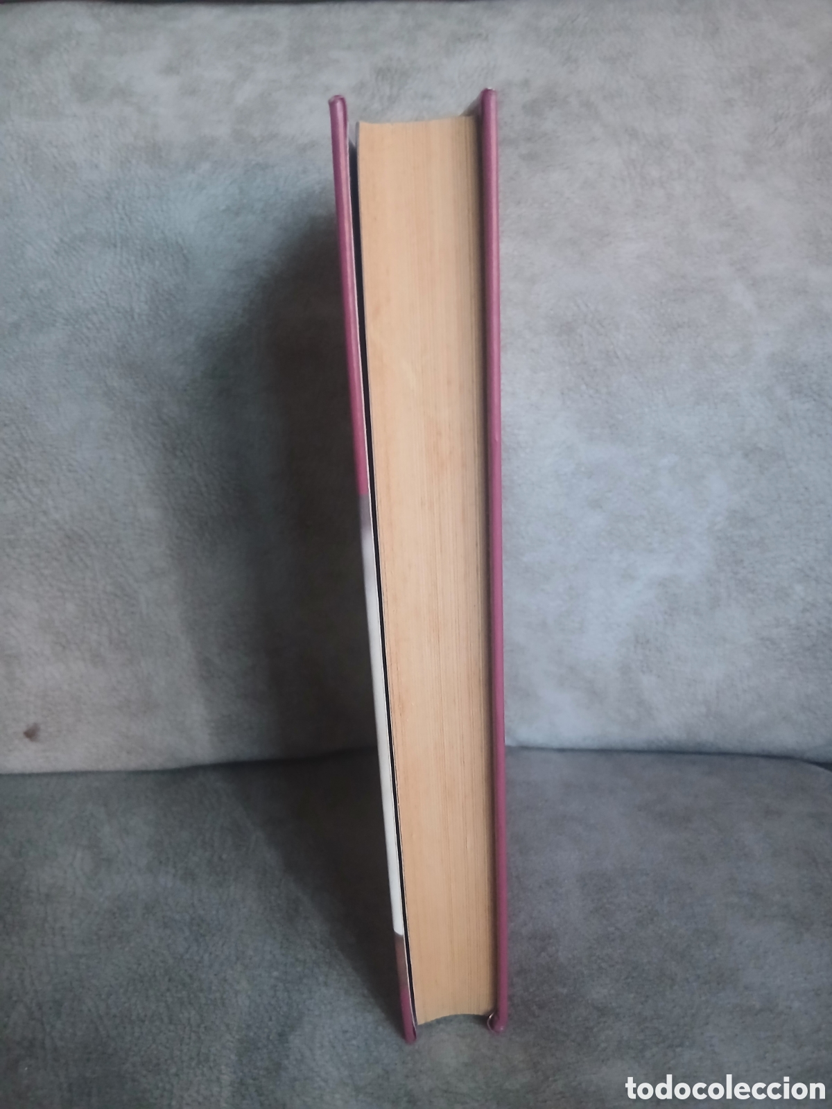 Libros de segunda mano: Libro La Flor del Desierto -Waris Dirie- Ed. RBA - Foto 4