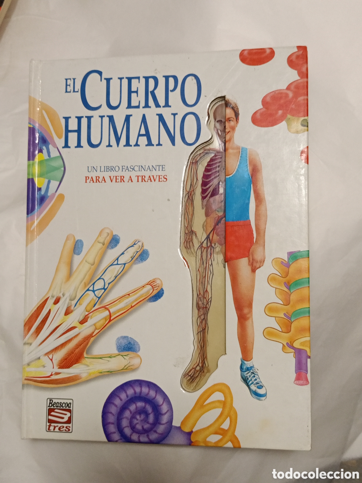 Livres d'occasion: EL CUERPO HUMANO UN LIBRO FASCINANTE PARA VER TRAVES