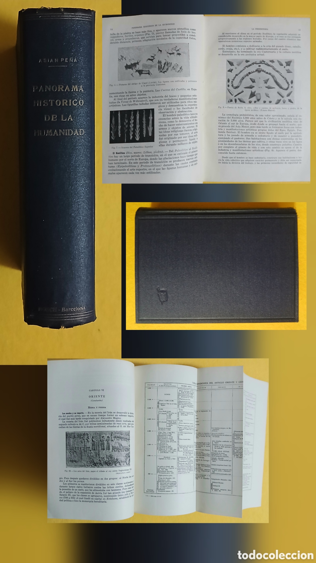 Libros de segunda mano: Panorama hist&oacute;rico de la humanidad