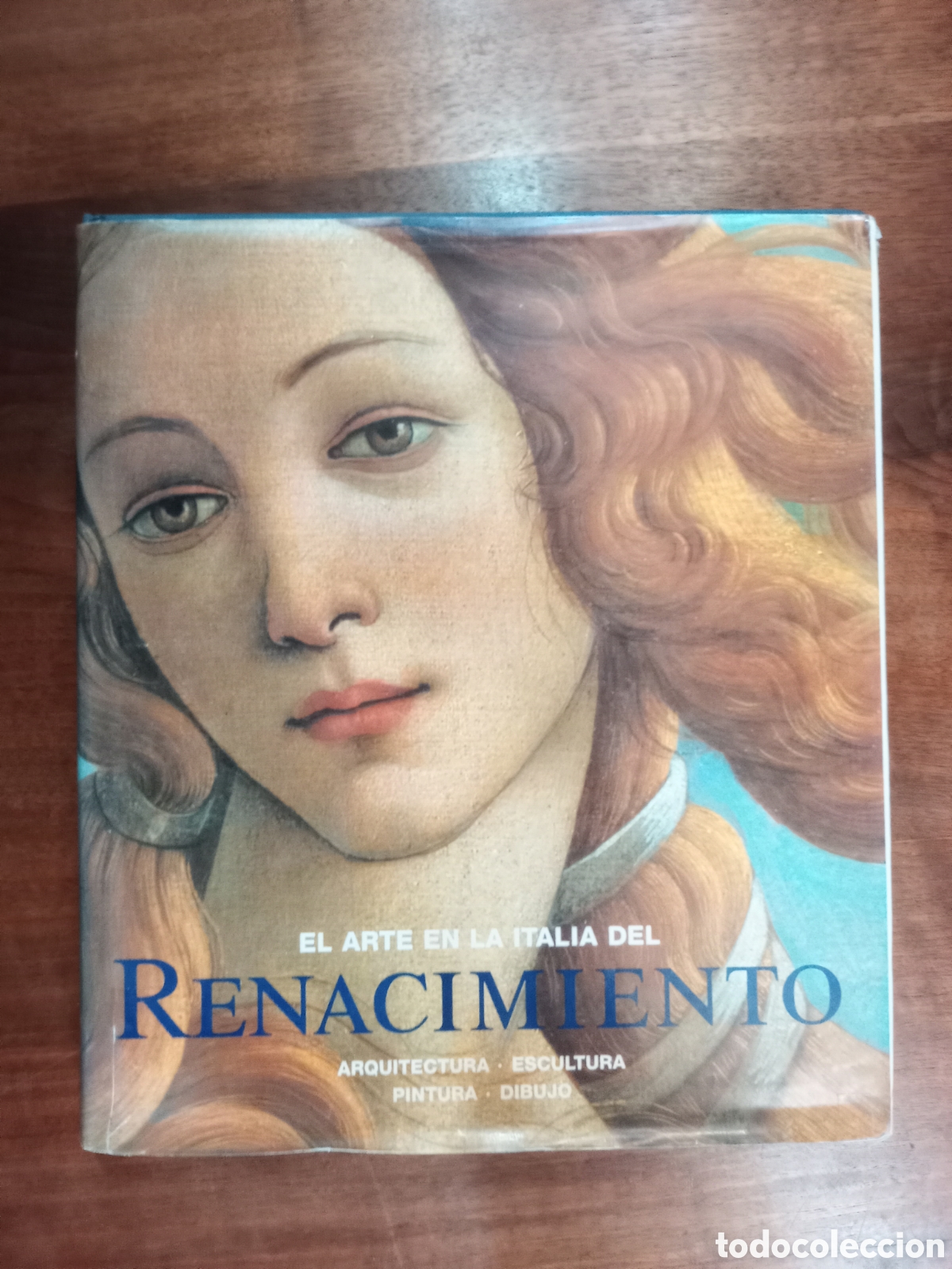 Libros de segunda mano: El arte en la Italia del renacimiento