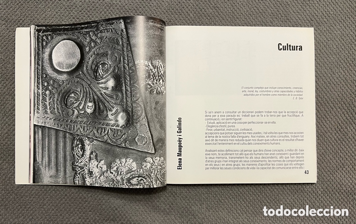 Libros de segunda mano: FALLA PALLETER - 2013&hellip; Cultura Olvidada. Programa cat&aacute;logo Fallas. Env&iacute;o Certificado 7&euro; - Foto 3