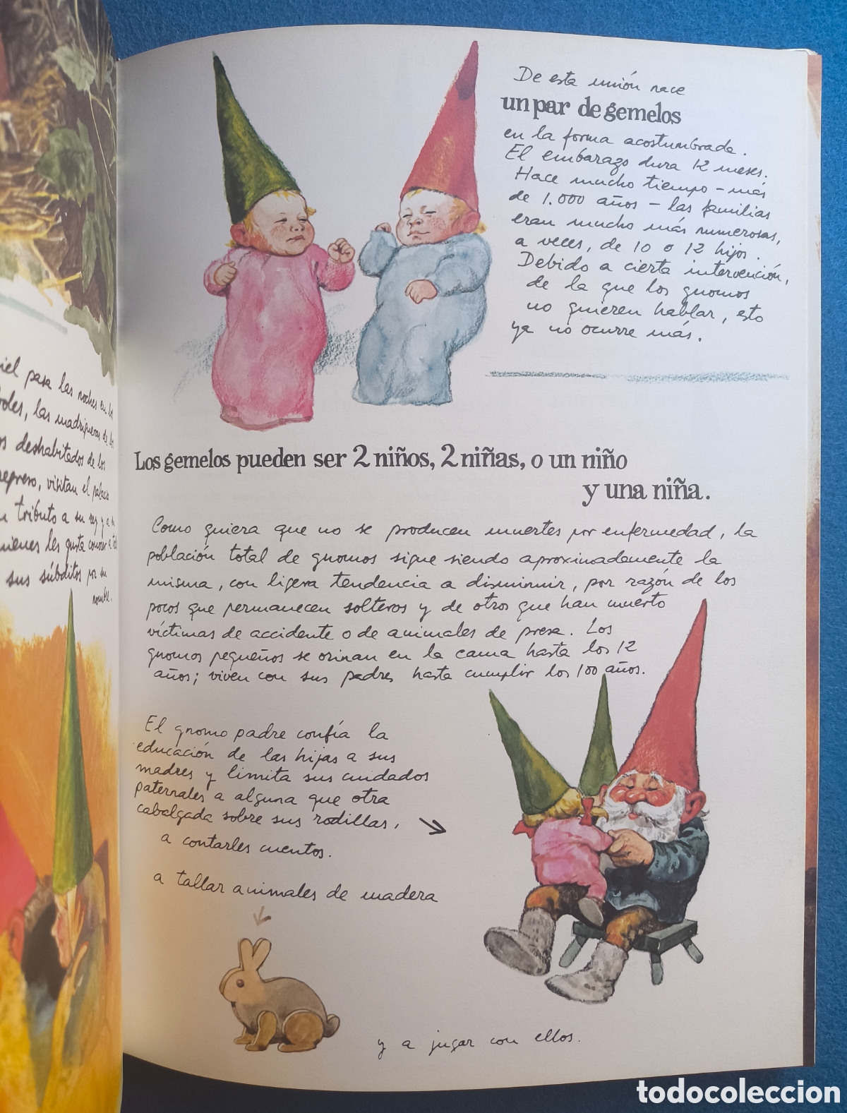 Libros de segunda mano: LOS GNOMOS LIBRO LOTE 2 MONTENA - Foto 3