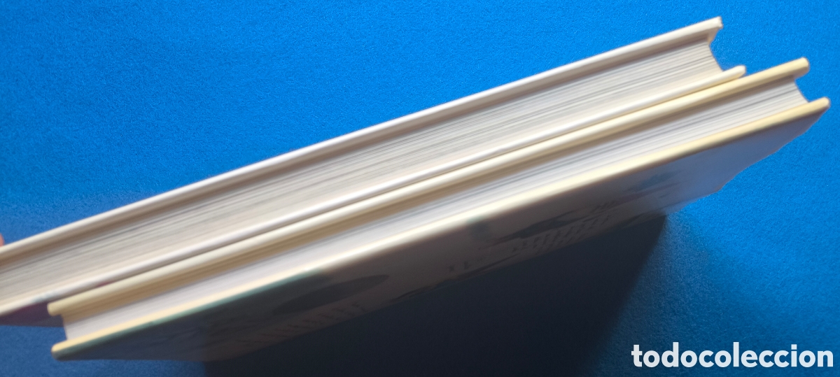 Libros de segunda mano: LOS GNOMOS LIBRO LOTE 2 MONTENA - Foto 7