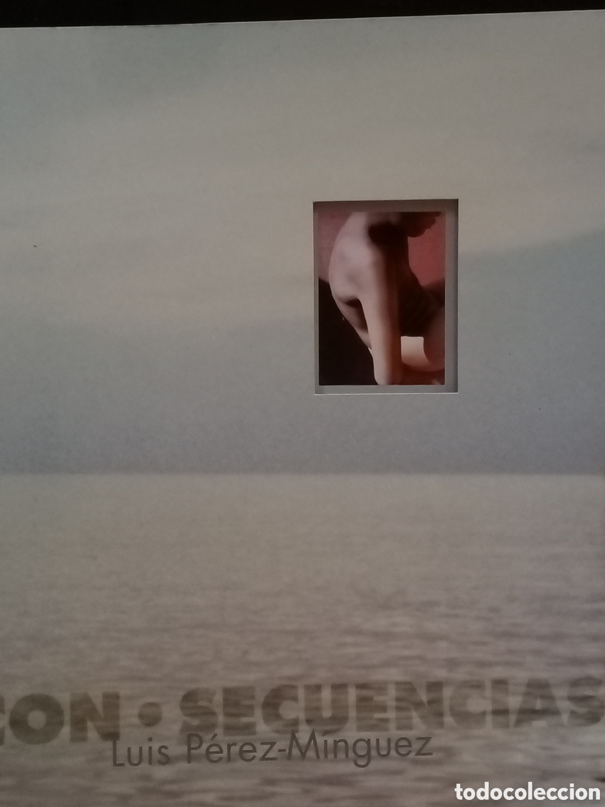 Libros de segunda mano: Luis P&eacute;rez-M&iacute;nguez. Con-secuencias - Foto 1