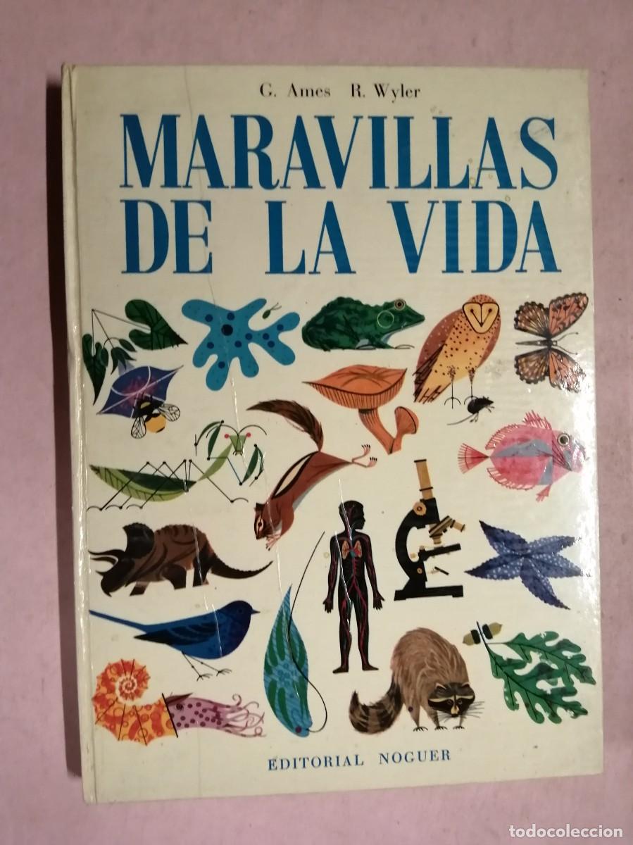 Libros de segunda mano: MARAVILLAS DE LA VIDA (G. AMES - R. WYLER) EDITORIAL NOGUER