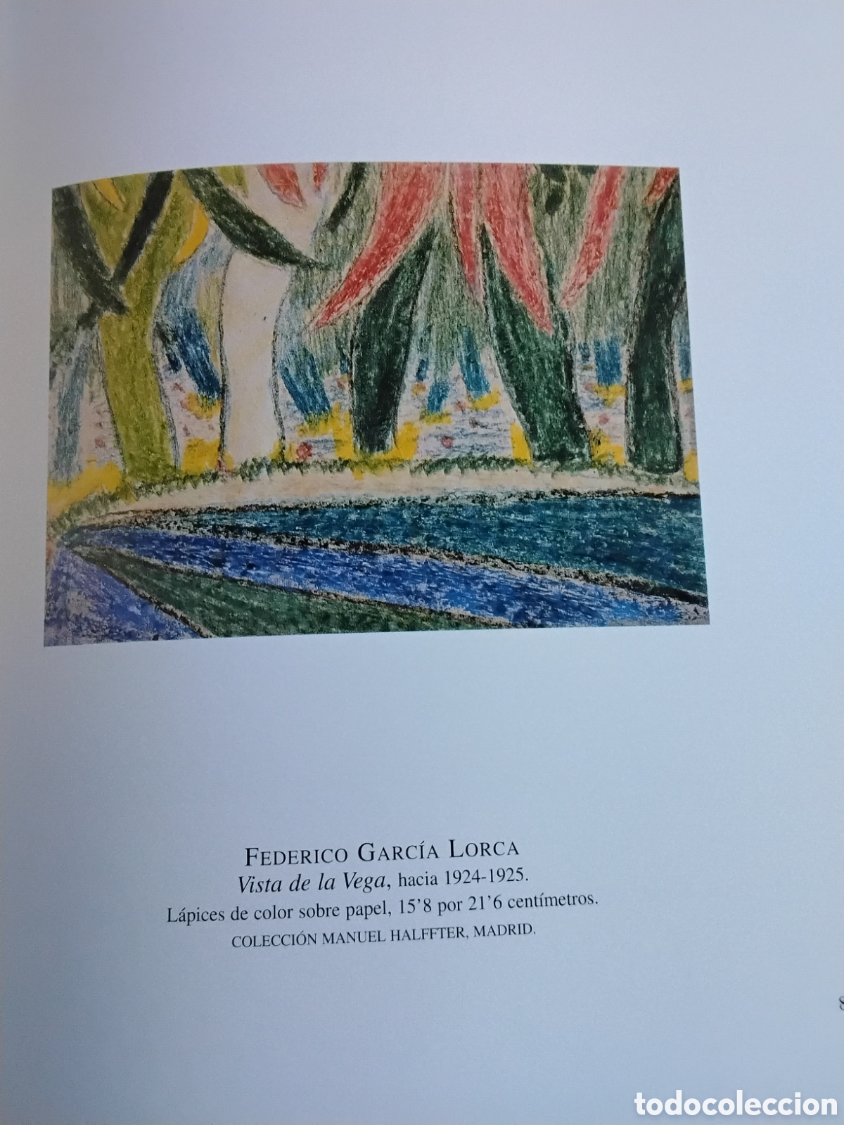 Libros de segunda mano: FEDERICO GARC&Iacute;A LORCA Y GRANADA. - Foto 7