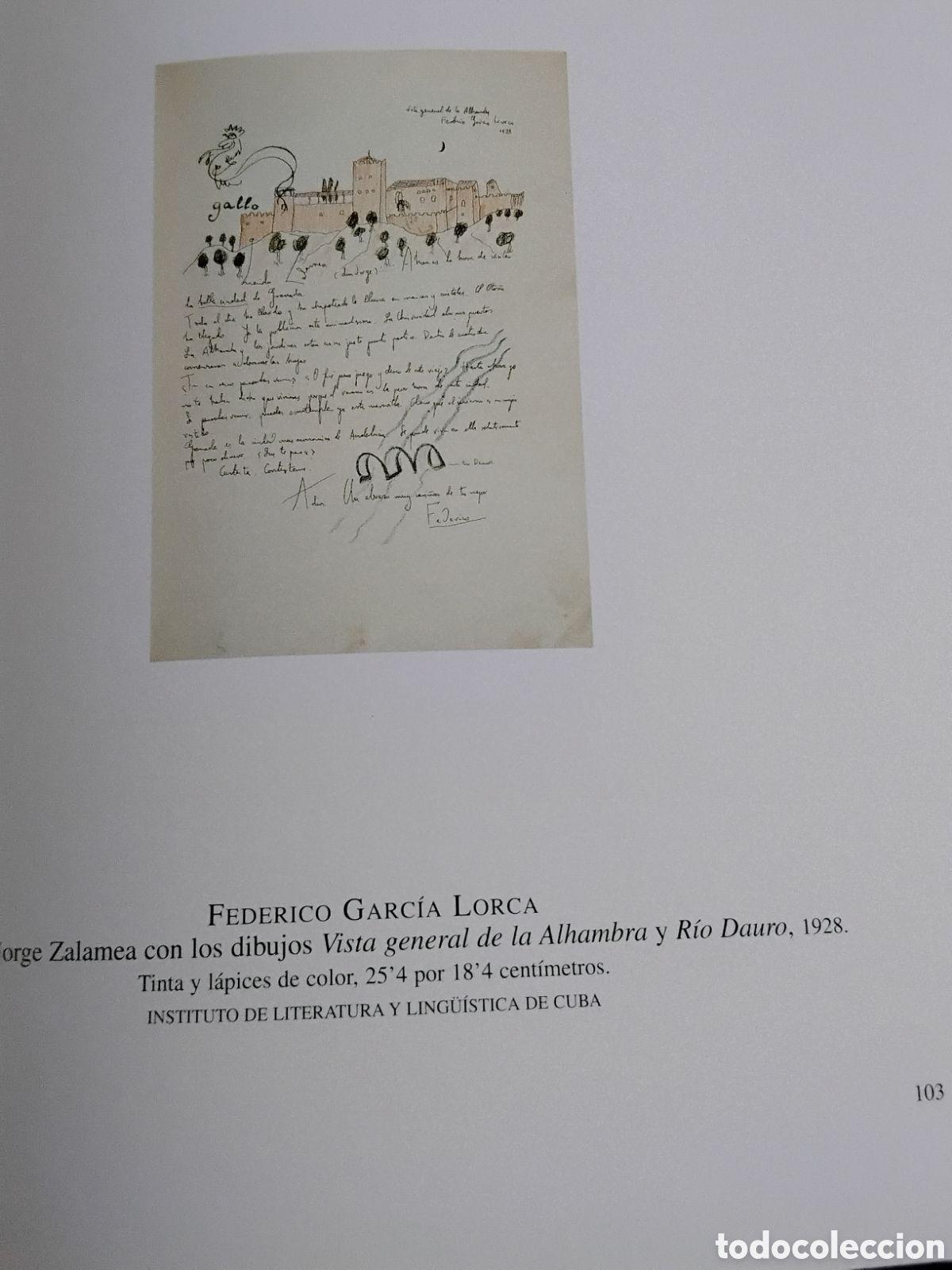 Libros de segunda mano: FEDERICO GARC&Iacute;A LORCA Y GRANADA. - Foto 8