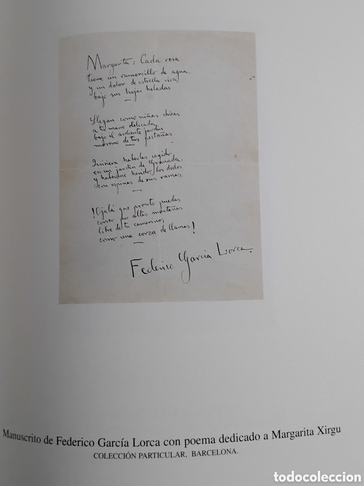 Libros de segunda mano: FEDERICO GARC&Iacute;A LORCA Y GRANADA. - Foto 10