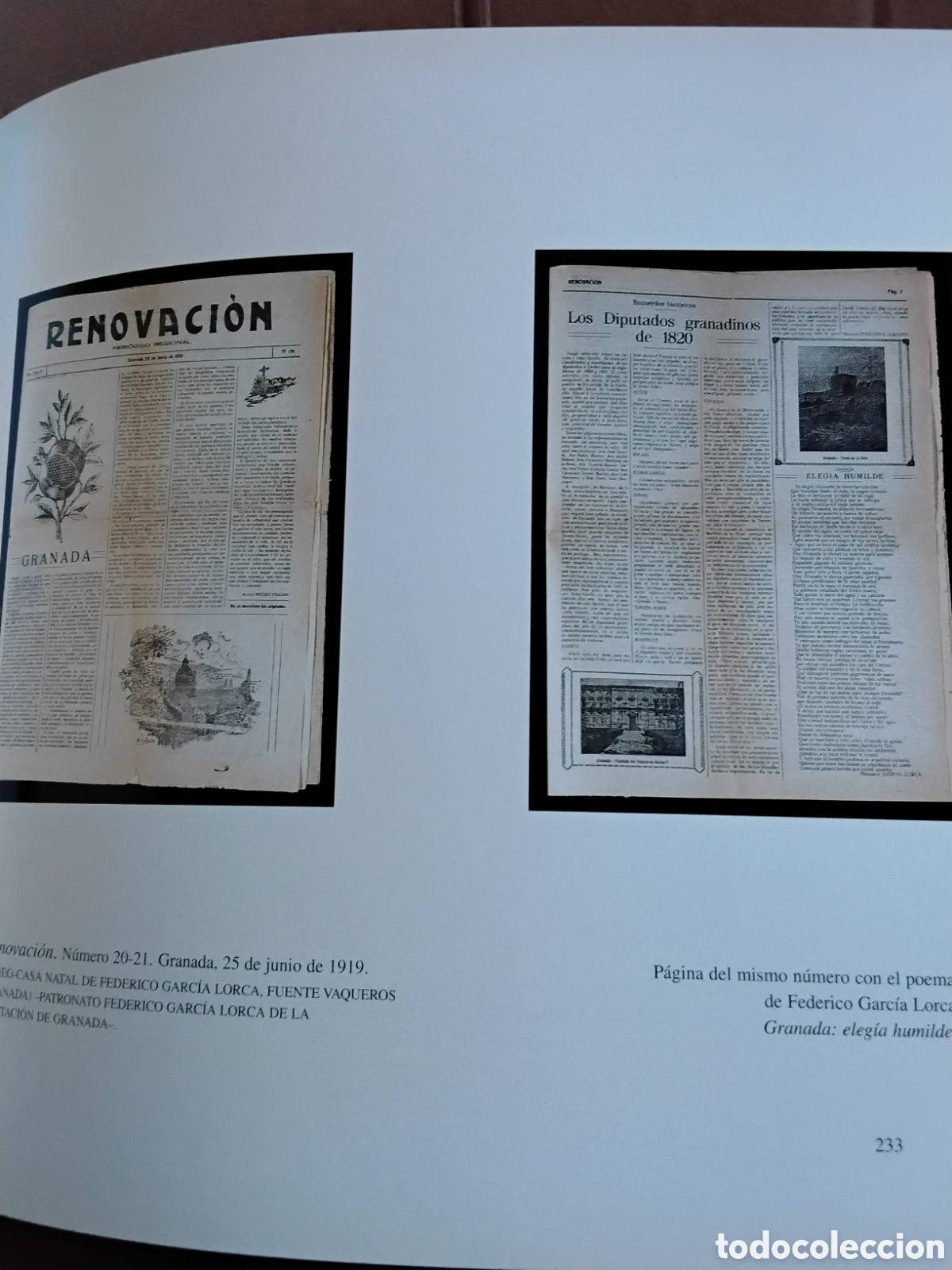 Libros de segunda mano: FEDERICO GARC&Iacute;A LORCA Y GRANADA. - Foto 19