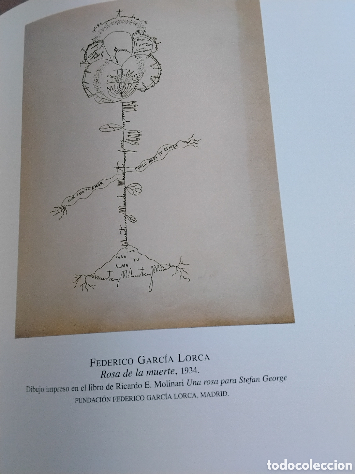 Libros de segunda mano: FEDERICO GARC&Iacute;A LORCA Y GRANADA. - Foto 21