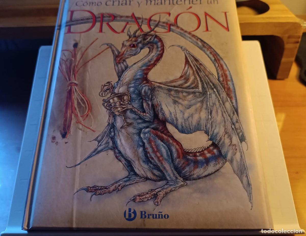Livros em segunda m&atilde;o: C&Oacute;MO CRIAR Y MANTENER UN DRAG&Oacute;N - J. NIGG Y D. MALONE - EDT. BRU&Ntilde;O, S.L., 2&ordf; Ed. 2008.