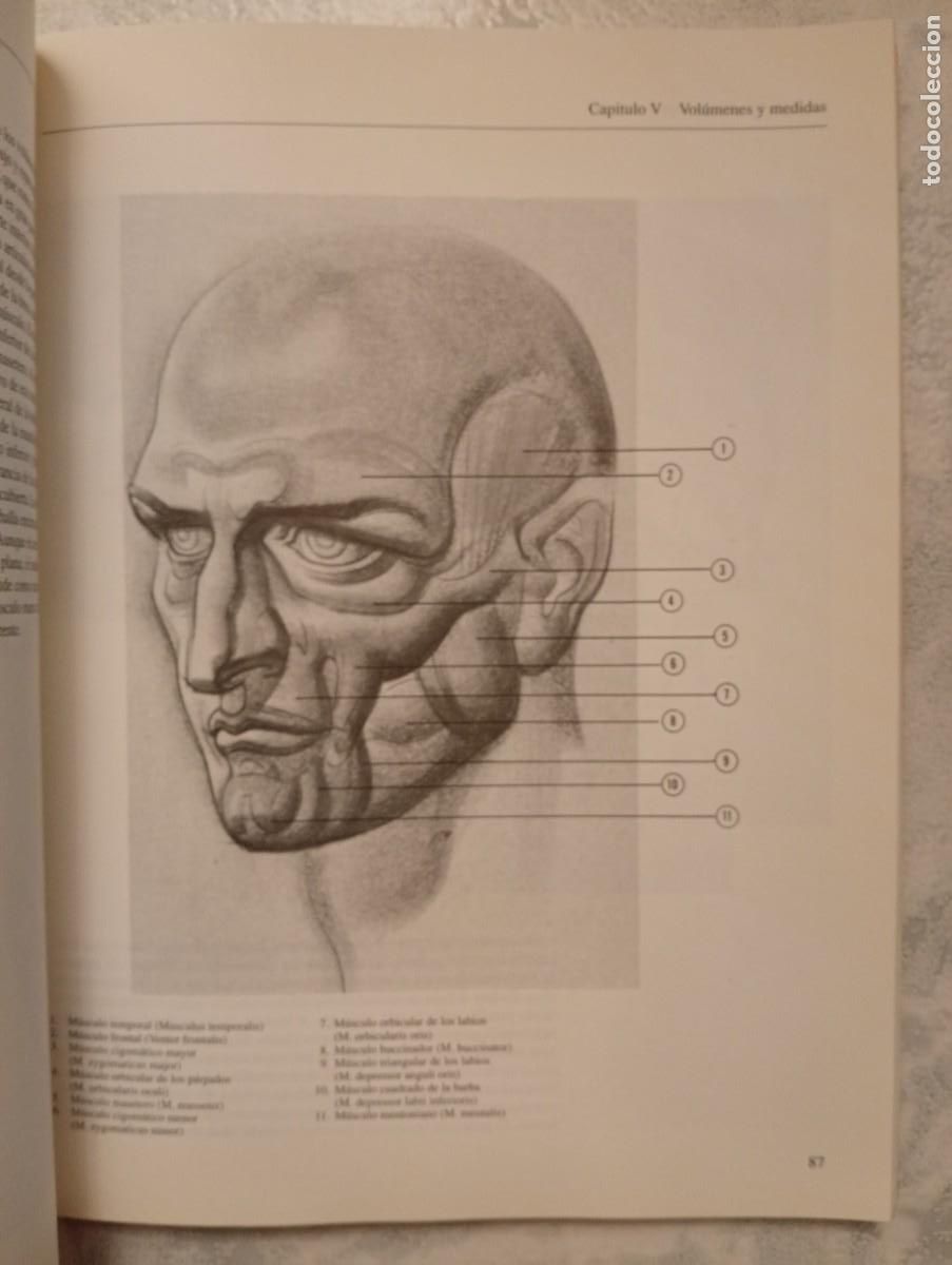 Libros de segunda mano: Burne Hogarth. El dibujo anat&oacute;mico a su alcance - Foto 2
