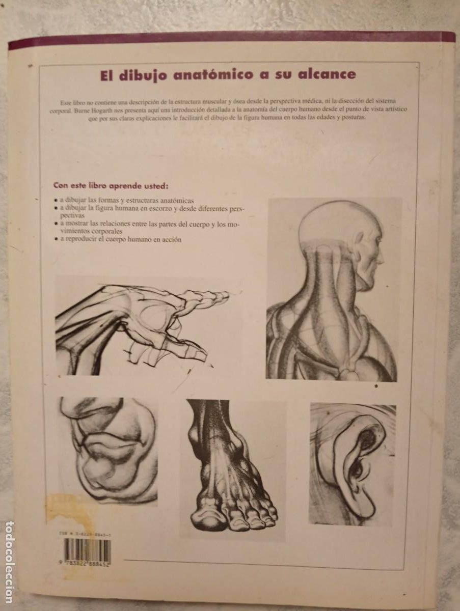 Libros de segunda mano: Burne Hogarth. El dibujo anat&oacute;mico a su alcance - Foto 3