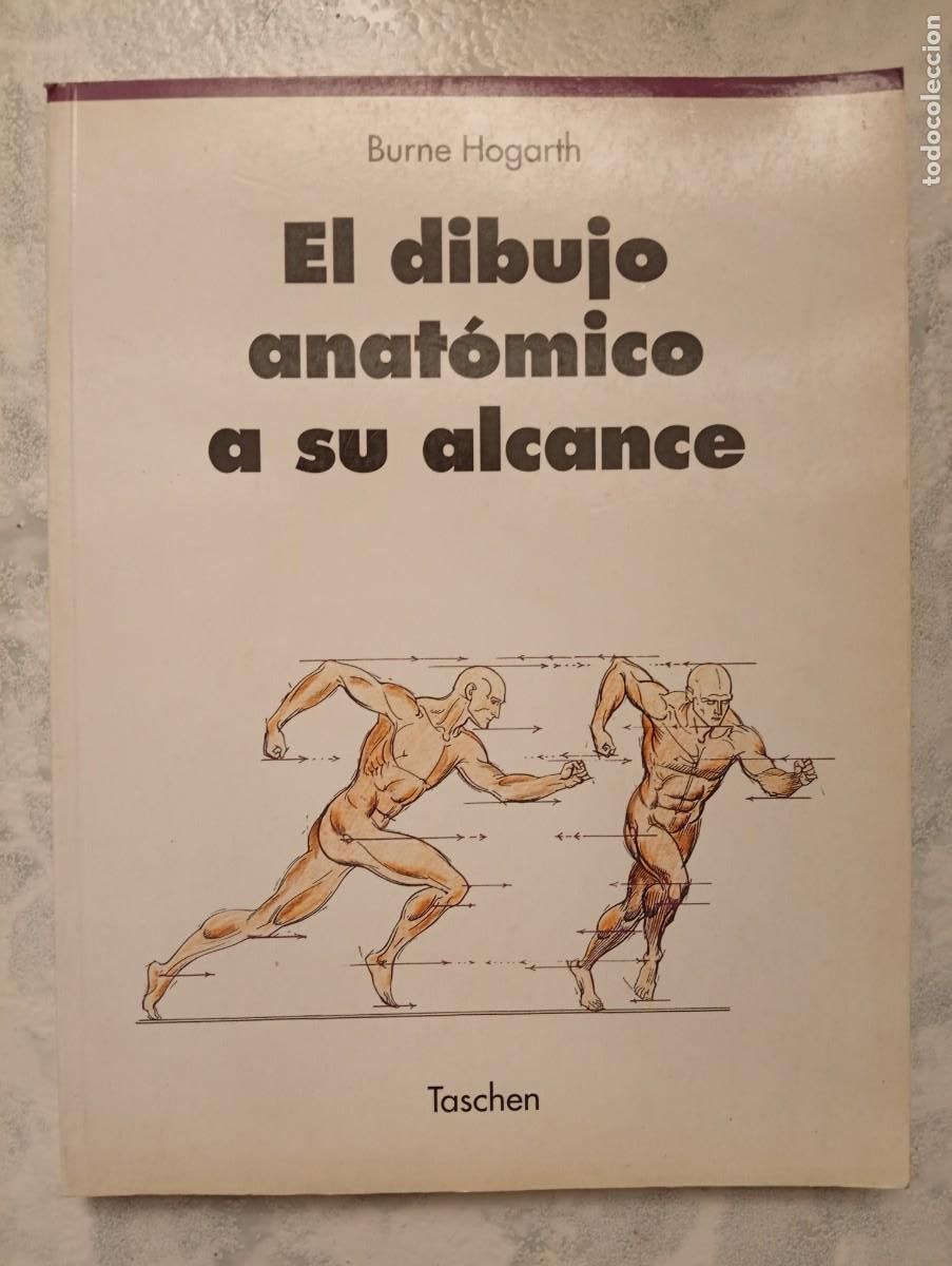 Libros de segunda mano: Burne Hogarth. El dibujo anat&oacute;mico a su alcance