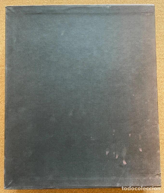 Libros de segunda mano: Pintura g&oacute;tica catalana - Foto 14