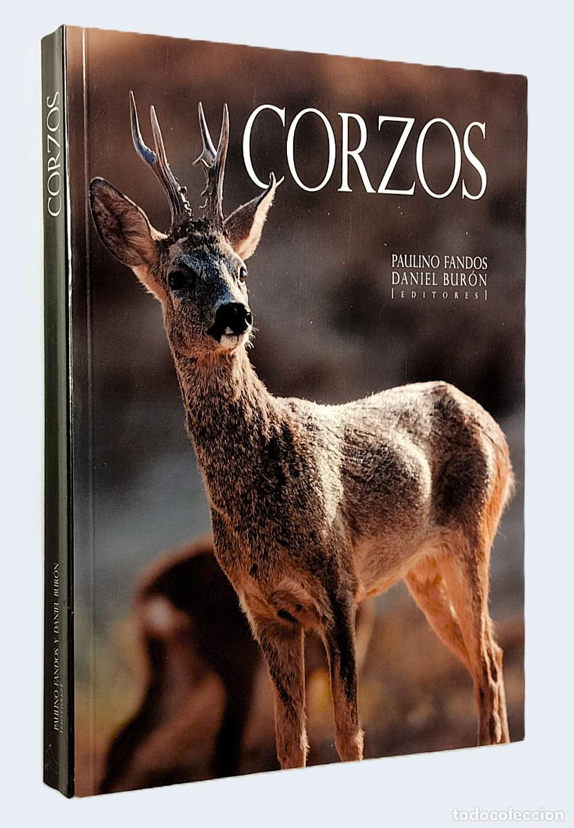Libros de segunda mano: PAULINO FANDOS / DANIEL BUR&Oacute;N - CORZOS
