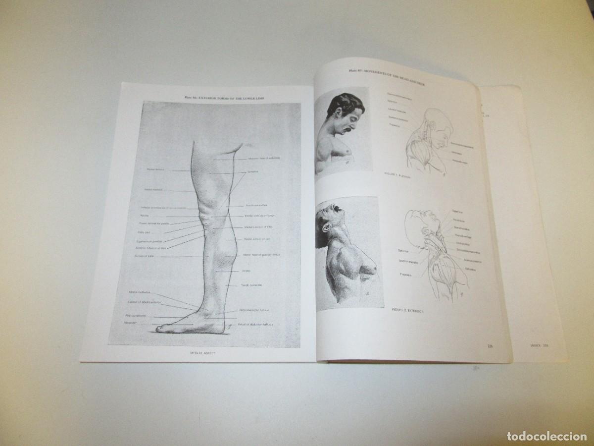 Libros de segunda mano: Artistic Anatomy - Richer - Foto 3