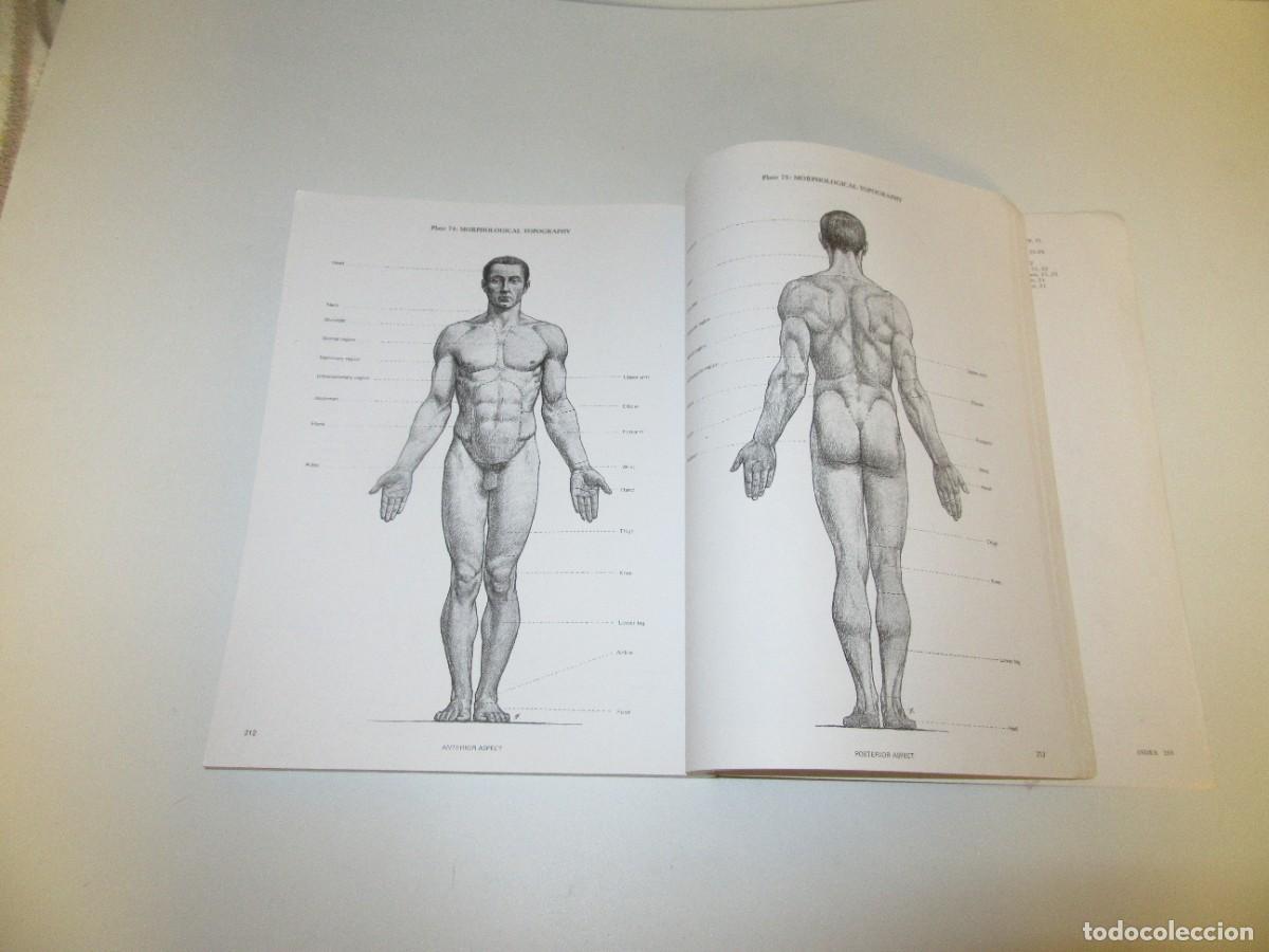 Libros de segunda mano: Artistic Anatomy - Richer - Foto 4