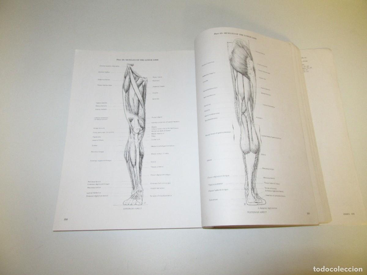 Libros de segunda mano: Artistic Anatomy - Richer - Foto 5