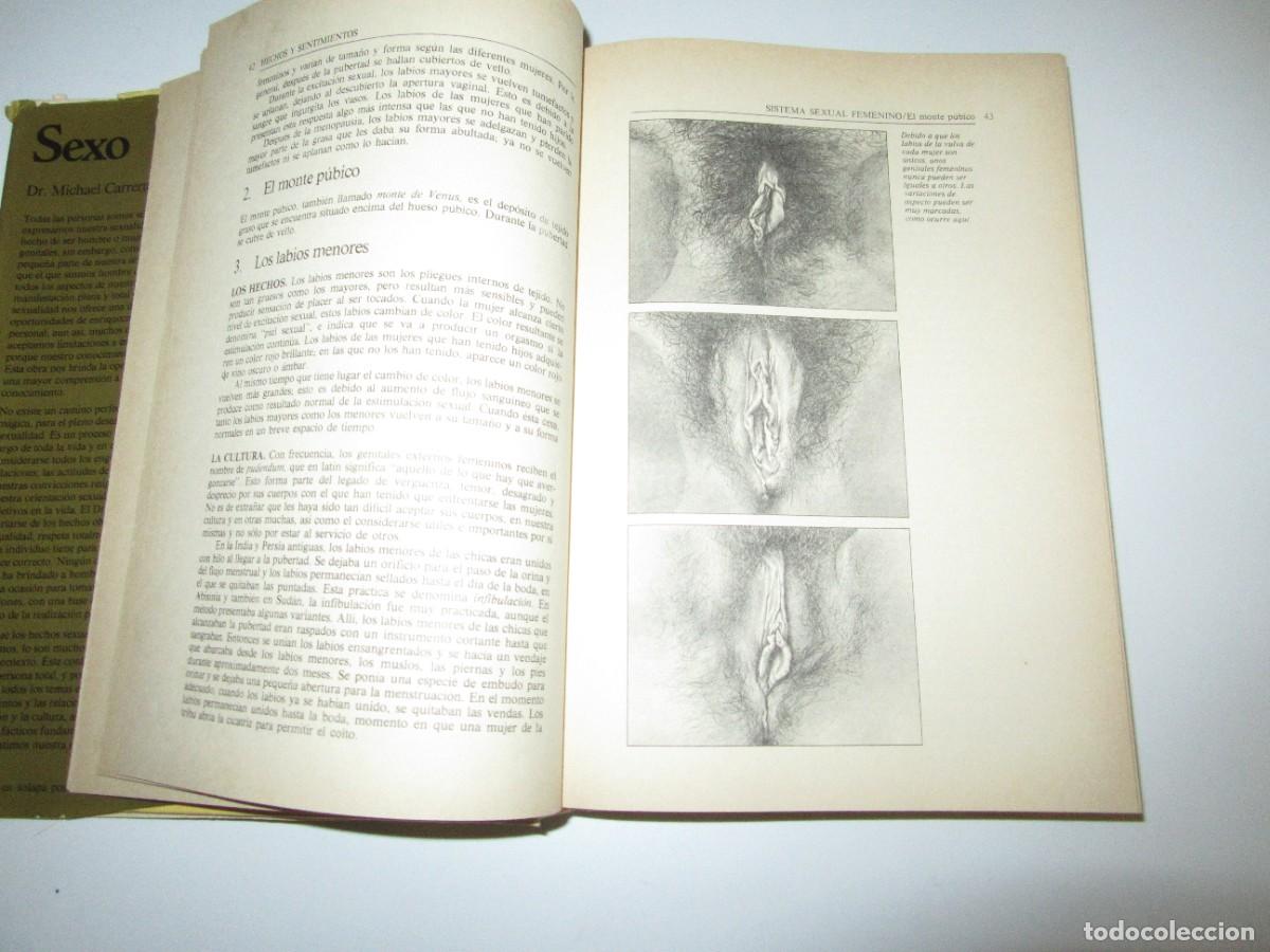 Libros de segunda mano: SEXO - michael carrera - Foto 4