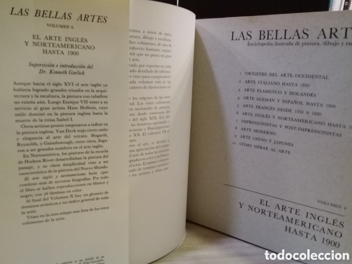 Gebrauchte B&uuml;cher: El arte ingl&eacute;s y norteamericano hasta 1900. Las bellas artes vol 6