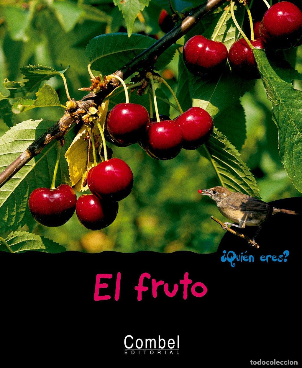 Libros de segunda mano: El Fruto - Valerie Guidoux - Combel Editorial - &iquest;Qui&eacute;n Eres? Naturaleza