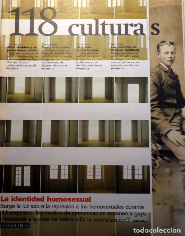 Libros de segunda mano: (Haddon, Mark - Ribot, M&ordf; del Mar de - Goldberg) - CULTURAS N&ordm; 118: La identidad homosexual - Barcel