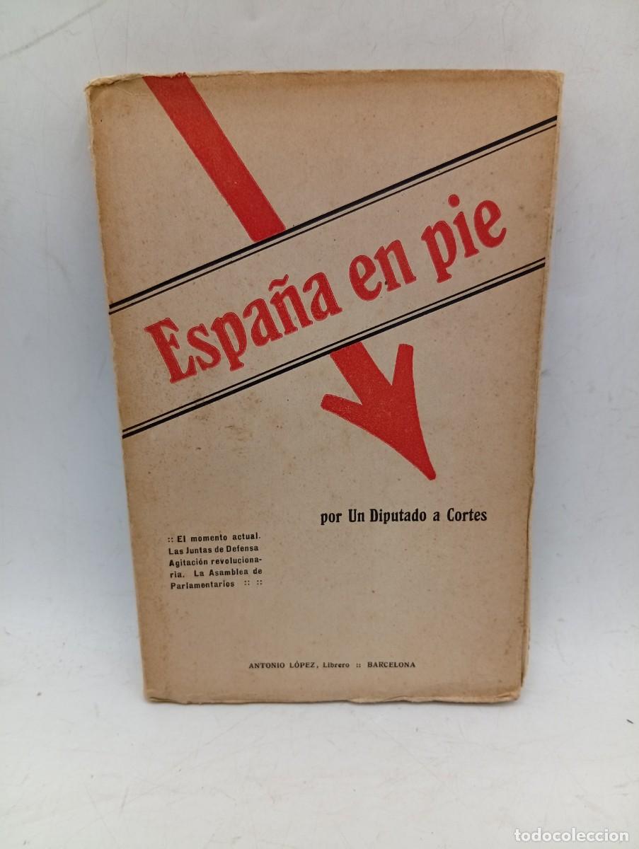 Libros de segunda mano: ESPA&Ntilde;A EN PIE POR UN DIPUTADO EN LA CORTE. PAGS : 221. INTONSO.