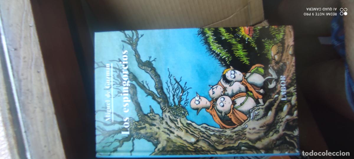 Libros de segunda mano: LOS ESPINGORCIOS - Miguel de Guzm&aacute;n - ilustr. Jordi Vives - Labor bolsillo juveni