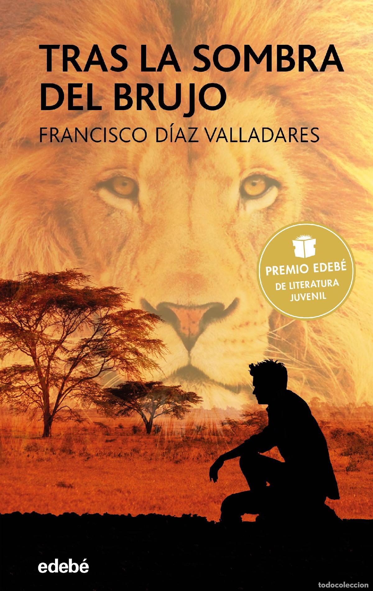 Libros de segunda mano: Tras la sombra del brujo. Premio edeb&eacute; 2017: 80 (PERISCOPIO)
