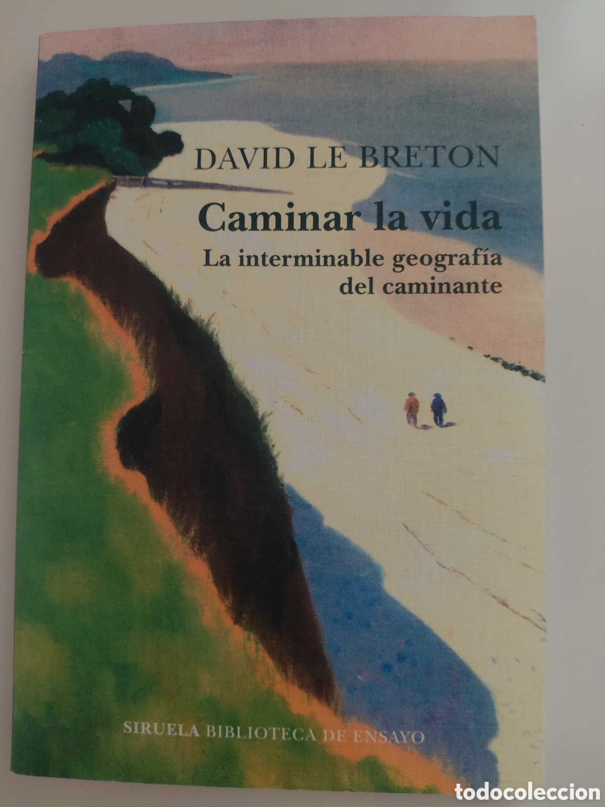 Libros de segunda mano: CAMINAR LA VIDA / DAVID LE BRETON