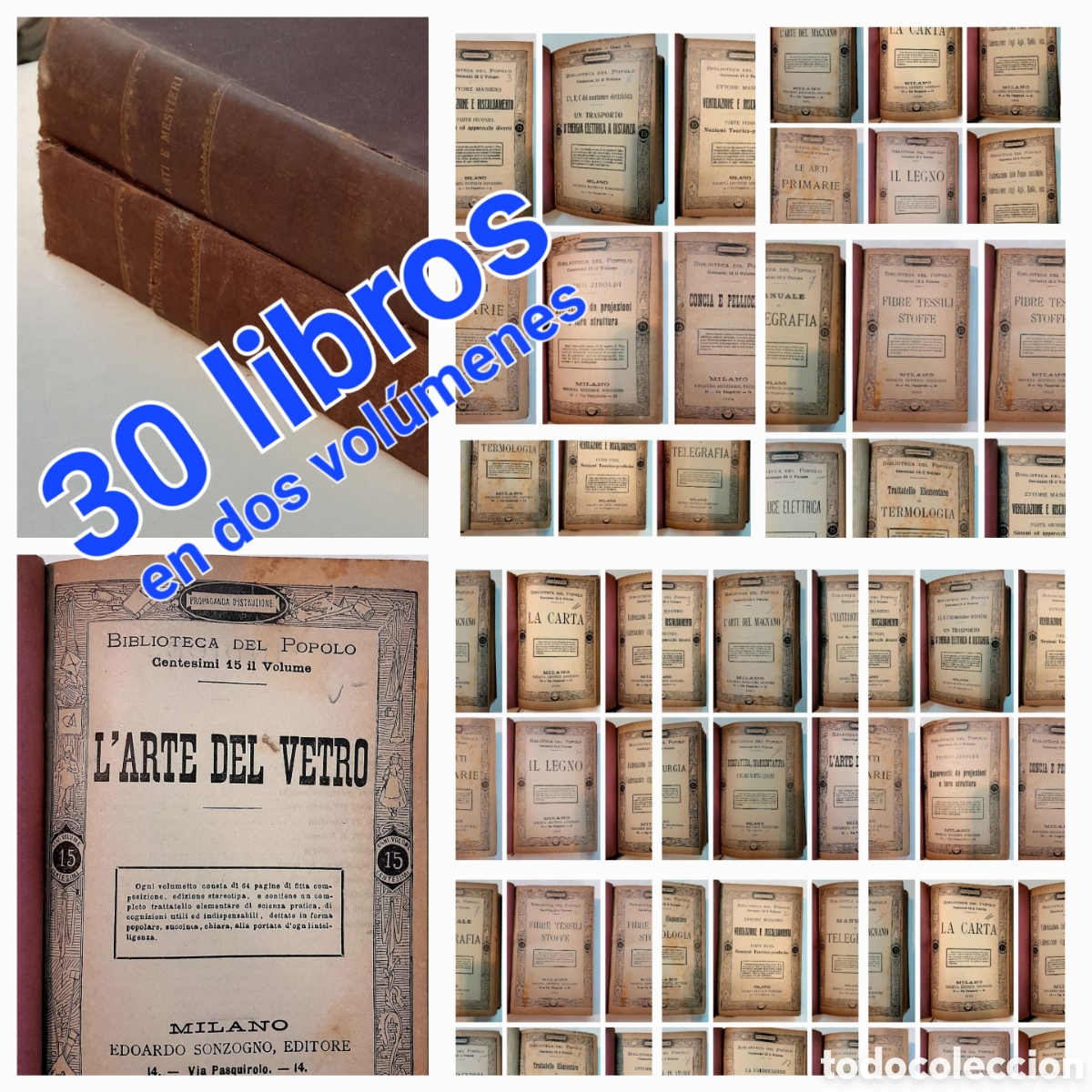 Libros de segunda mano: BIBLIOTECA DEL POPOLO. 30 libros encuadernados en 2 vol&uacute;menes. Elettricita, concia, ventilazione etc