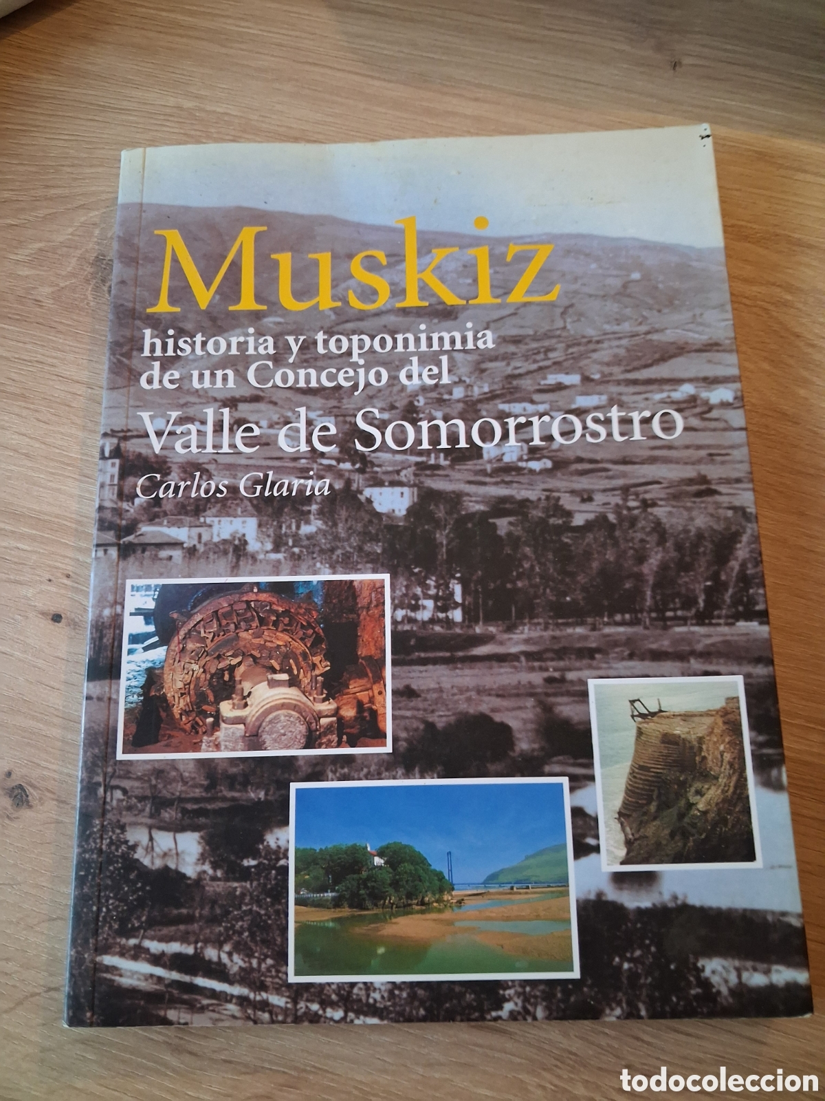 Libri di seconda mano: MUSKIZ. HISTORIA Y TOPONIMIA DE UN CONCEJO DEL VALLE DE SOMORROSTRO.