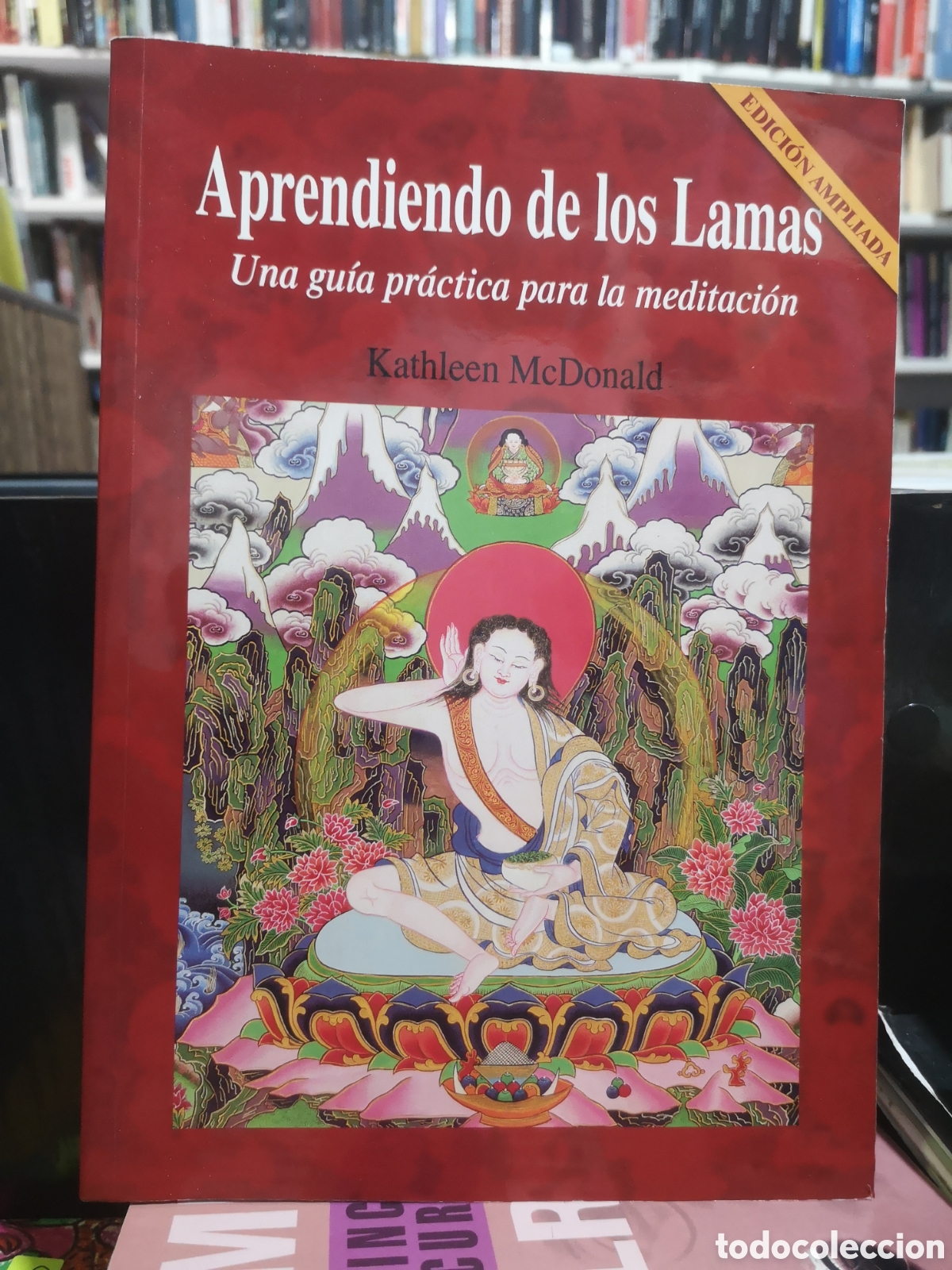 Libros de segunda mano: APRENDIENDO DE LOS LAMAS - GU&Iacute;A PR&Aacute;CTICA PARA MEDITACI&Oacute;N - MCDONALD - ENV&Iacute;O DESDE 1,95 &euro;