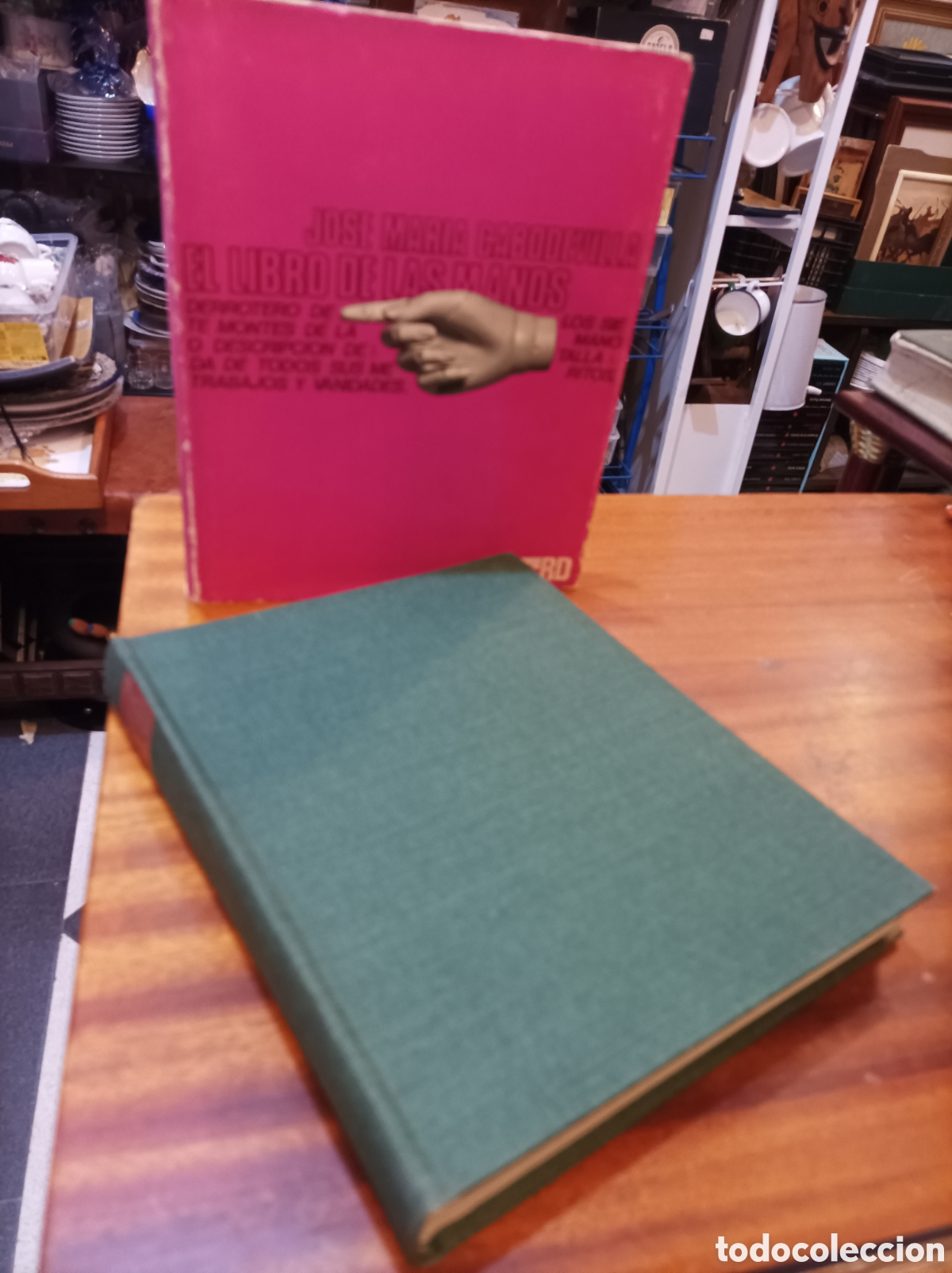 Libros de segunda mano: EL LIBRO DE LAS MANOS . JOS&Eacute; MAR&Iacute;A CABODEVILLA.
