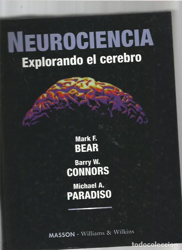 Libros de segunda mano: NEUROCIENCIA EXPLORANDO EL CEREBRO MARK F BEAR MASSON