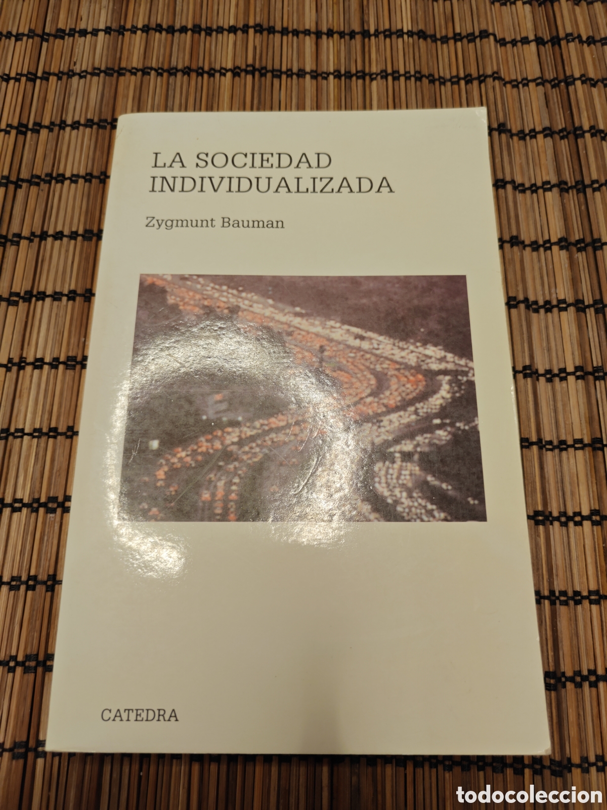 Libros de segunda mano: La sociedad individualizada &ndash; Zygmunt Bauman &ndash; C&aacute;tedra 2001