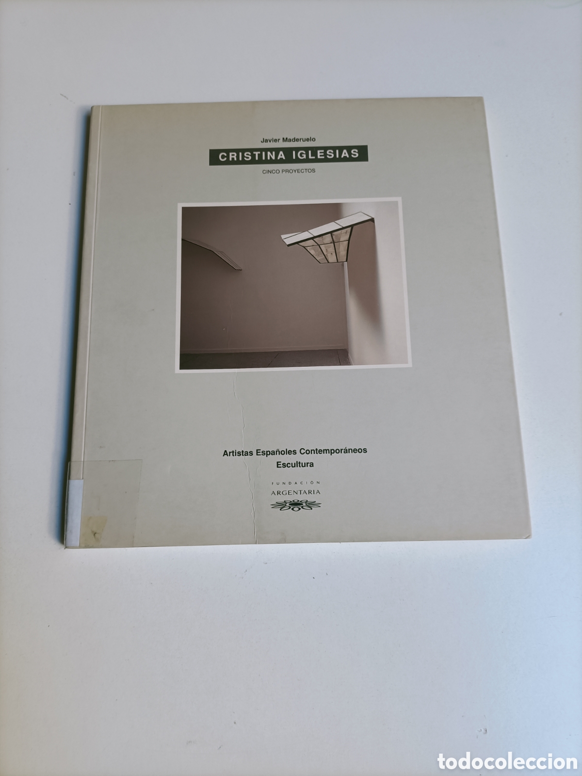 Libros de segunda mano: Christina iglesias. Cinco proyectos Javier Maderuelo . Escultura arte siglo XX XXI