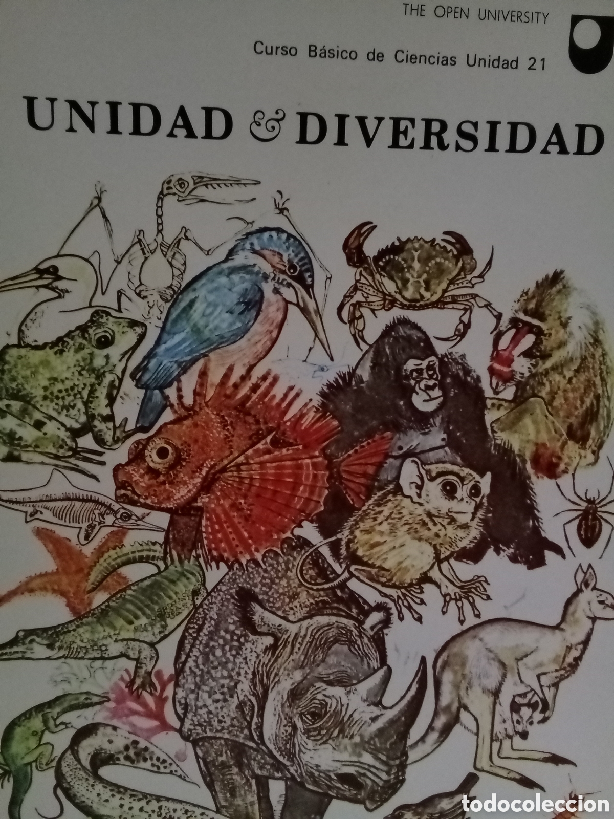 Libros de segunda mano: Curso B&aacute;sico de Ciencias unidad 21. Unidad & diversidad
