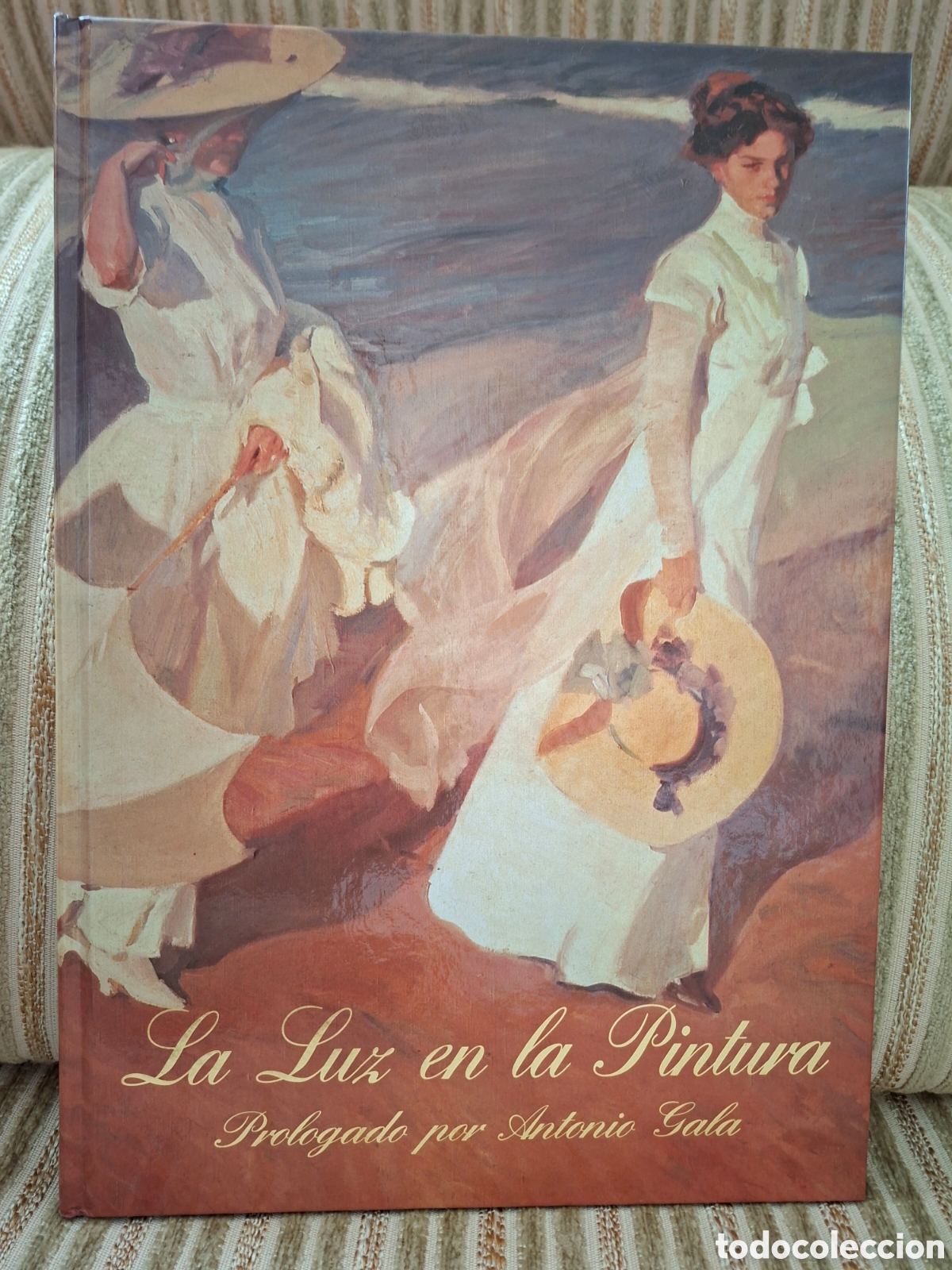 Second hand books: LA LUZ EN LA PINTURA